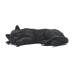 FVLFIL Rainbowbridge At Rest Lying Cat Ashes Casket Black