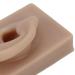 Silicone Right Ear Model for Piercing Training and Display (Brown) - Reusable & Flexible - Buy Online on GoSupps.com