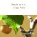 Pear Serum 1.69 Fl Oz | 83% Wild Pear Leaves | Soothing Lightweight Skincare - Buy Online on GoSupps.com