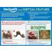 DenSureFit Lower Denture Reline Kit - Secure, Comfortable Fit | Easy DIY Solution - Buy Online on GoSupps.com