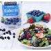 Stoneridge Orchards Whole Dried Blueberries 4 oz - Premium Blueberries for Snacking - Buy Online on GoSupps.com