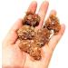 1pc Natural Crystal Quartz Rock Raw Rock Aragonite Specimen Stone Natural Luster - Buy Online on GoSupps.com