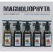 Magnoliophyta | Rose Hip Oil with Collagen | 50 ml | Body and Face Oil | All Skin Types | Regenerates and Nourishes in Depth | Combats Wrinkles | 100% Natural from Chile - Buy Online on GoSupps.com