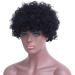 Buy SHIYID Short Afro Wig - Synthetic Black Curly Wig for Black Women | Heat Resistant Fiber | International Shipping - Buy Online on GoSupps.com