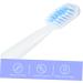 Gatuida 3pcs Soft Fur Toothbrush - Gentle Bristles for Sensitive Teeth | International Shipping Available - Buy Online on GoSupps.com