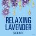Secret Luxe Lavender Clear Gel Deodorant 2.7 oz - Pack of 6 - Buy Online on GoSupps.com