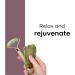 Buy Facial Massager Jade Roller & Gua Sha Tool - Natural Himalayan Stone for Skin Healing Wrinkles & Serum Application - Buy Online on GoSupps.com