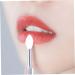 4 Pcs Silicone Lip Brushes - Portable Lipstick Applicator Wands & Mini Lip Scrub Brush for Gloss | International Shipping - Buy Online on GoSupps.com