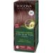 Logona Herbal Hair Color Powder 060 Nut Brown 33312 - Buy Online on GoSupps.com