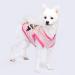 Amaone Leopard Dog Coat for Chihuahua & Small Dogs - Stylish Knit Jacket in Pink | XL Size - Buy Online on GoSupps.com