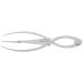 TOPBATHY R gle Sourcils En Acier Inoxydable Outil De Dessin Des Sourcils Precise Pour Femmes Maquillage Professionnel Mesure Positionnement Visage Simple Et Pratique