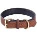 Genuine Leather Padded Dog Collar Comfortable Strong Soft Collars Best for Small Medium and Large Breed Dogs (Brown)(M) M Brown