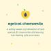 Babyganics 2-in-1 Shampoo and Conditioner for Toddlers Designed for All Hair Types Moisturizes and Detangles Apricot Chamomile 325 mL Soap Pump Packaging May Vary All Hair Shampoo & Conditioner - Buy Online on GoSupps.com