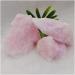 Home Decoration 1pc Quartz Crystal Pink Vein Aragonite Reiki Decoration Specimen Decorative Crystal Stones Minerals Stones ZJGIDTEM (Size : 330-370) - Buy Online on GoSupps.com