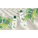 Va va - Organic Coconut Water - 100% Pure Juice - Sweet and Refreshing - No Added Sugars - 12 Tetra Pak Bricks of 33cl - Buy Online on GoSupps.com