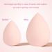 Qlarnaweer Beauty Blender Sponges 8 Pcs Makeup Sponges Blender Set with Egg Case and 1 Sponge Holder Pink Pink 9 Piece - Buy Online on GoSupps.com