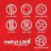 Methyl-Life Purest L-Methylfolate 10mg - Professional Strength, 3 Months Supply, Chewables | Non-GMO, Gluten-Free - Buy Online on GoSupps.com
