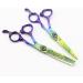 Hair Cutting Scissors 6 Inch Professional Japan 440c Upscale Scissor Ceramics Hair Scissors Cutting Barber Haircut Thinning Shears Hairdressing Scissors Set - Buy Online on GoSupps.com