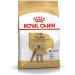 Royal Canin Poodle Adult | Pack of 3 | 3 x 500 g | Dry food for Adult Poodle | to support coat and muscle tone | for dogs from 10 months - Buy Online on GoSupps.com
