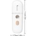Humidificateur Visage | Nano Brume Fra che | Vaporisateur Visage Pulv risateur Rafra chissant Portable pour Hydratation Quotidienne du Maquillage Domicile D placements Blanc - Buy Online on GoSupps.com
