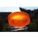 Pears Transparent Original Soap 4.4 Oz 12 Pack - Gentle and Pure Cleansing Bar - Buy Online on GoSupps.com
