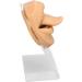 Deosdum Lifelike Silicone Mouth Tongue Model for Jewelry Display - Professional Piercing Practice Tool (Skin Color) - International Shipping Available - Buy Online on GoSupps.com