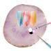 DSDecor Resin Nail Art Palette Nail Painting Makeup Palette Tray Cosmetic Nail Gel Polish Colors Mixing Pallet (Purple)
