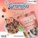 Nature's Mix Maple Walnut Granola - Canadian Locally Made - Vegan and Kosher Certified Maple Walnut Granola 312 Grams light pink grams 312 g (Pack of 1) Light Pink - Buy Online on GoSupps.com