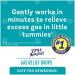 Little Remedies Gas Relief Drops 1 oz ( Pack of 4) - Buy Online on GoSupps.com