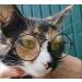 YAODHAOD Pet Dog Cat Sunglasses Classic Retro Round Metal Prince Princess Sunglasses Puppy Katie Photo Props Toys(2 Pack (8cm Blue gradient) - Buy Online on GoSupps.com