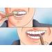 Miswak - 100% Natural & Herbal Chewing Stick Toothbrush Roots Twigs Stem Datun Salvadora Persica Ancient Remedy Dental Care Oral Hygiene Healthy Teeth & Gums Fresh Breath Pack - 3/5 / 10 Pack of 10 - Buy Online on GoSupps.com