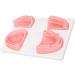 Oral Suture Training Kit - High Simulation Dental Suture Set with Forceps | Silicone Model for Clinics - International Shipping Available - Buy Online on GoSupps.com