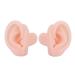 Silicone Ear Model - Flexible & Soft for hospital Display Learning - Simulated Ear Model for Education