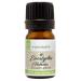 GreenHealth Eucalyptus Essential Oil 1/6 fl oz (5 ml) Amber Glass Bottle w/Euro Dropper 100% Pure Essential Oil