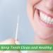 1100Pcs Dental Picks & Toothpicks - Interdental Brush Sticks for Ultimate Oral Hygiene | International Shipping - Buy Online on GoSupps.com