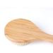 Frava Long Handle Bath Brush Back Scrubber - Exfoliating Shower & Bath Body Brush (15.7 Inches) - Buy Online on GoSupps.com