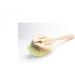 Yerba Prima Tampico Dry Skin Brush - Exfoliating & Stimulates Blood Circulation (Pack of 3) - Buy Online on GoSupps.com