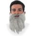 Barbe et Moustache Hipster - Noir - Buy Online on GoSupps.com