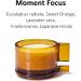 Buy No. 4 Moment Focus Scented Candle - Eucalyptus Lavender & Frankincense | Non-Toxic Aromatherapy | Luxury Eco-Friendly Gift | 20-30 Hour Burn Time - Buy Online on GoSupps.com