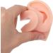 Waterproof Human Ear Model Set - 3 Pairs for Beauty Salon | Simulation Ear Model - Buy Online on GoSupps.com