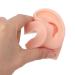 Soft and Flexible Human Ear Model Waterproof and Easy to Use for Beauty Salons - 3 Colors - Buy Online on GoSupps.com