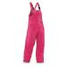 iXtreme Kids Insulated Ski Bib Snow pant Snowboard Snowsuit (Berry, 16/18)