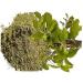 SENTA Tulsi Leaf Powder | 50g - Buy Online on GoSupps.com