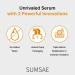 SUMSAE Pure Vitamin C Serum - Best Korean Skincare with Vitamin 10.5%, No Added Water, Special Airless Pump, Brightening and Firming Skin, Improving Uneven and Dull Skin Tone, 30ml/1.01fl.oz. - Buy Online on GoSupps.com