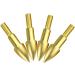 ZSHJGJR 24pcs Archery Target Field Points 75 Grain Gold Bullet Points for Hunting Practice - Buy Online on GoSupps.com