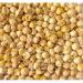 SEP VS Products Paneer Flower l Paneer Doda Phool for diabetes | Indian Rennet 50g - Buy Online on GoSupps.com