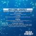 Evlution Nutrition BCAA Anytime Energy Powder - Pre Workout Powder with BCAAs Amino Acids Post Workout Recovery Drink Vitamin C Vitamin B12 Muscle Recovery Endurance (30 Servings Blue Raz V2) - Buy Online on GoSupps.com