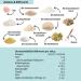 Lower Carb Bread Mixture - Organic Vegan Gluten-Free Protein Alternative - 3x350g Keto-Friendly Lactose-Free Grain-Free - Buy Online on GoSupps.com