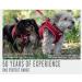 Anvol Viva Lightweight Breathable Comfort Mesh Dog Harness Red - Size Medium (44-57 cm) - Buy Online on GoSupps.com