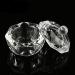 Clest F&H Transparent Dappen Dish with Lid for Acrylic Liquid & Powder Perfect Nail Styling Tool  - Buy Online on GoSupps.com